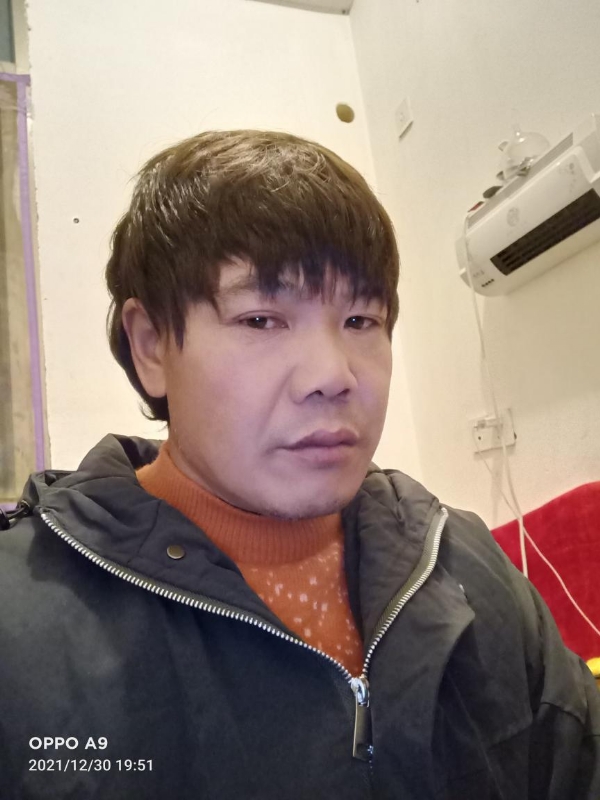 小鸟找窝的第一张照片--南安相亲网